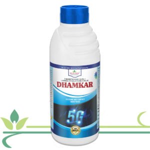 DHAMKAR