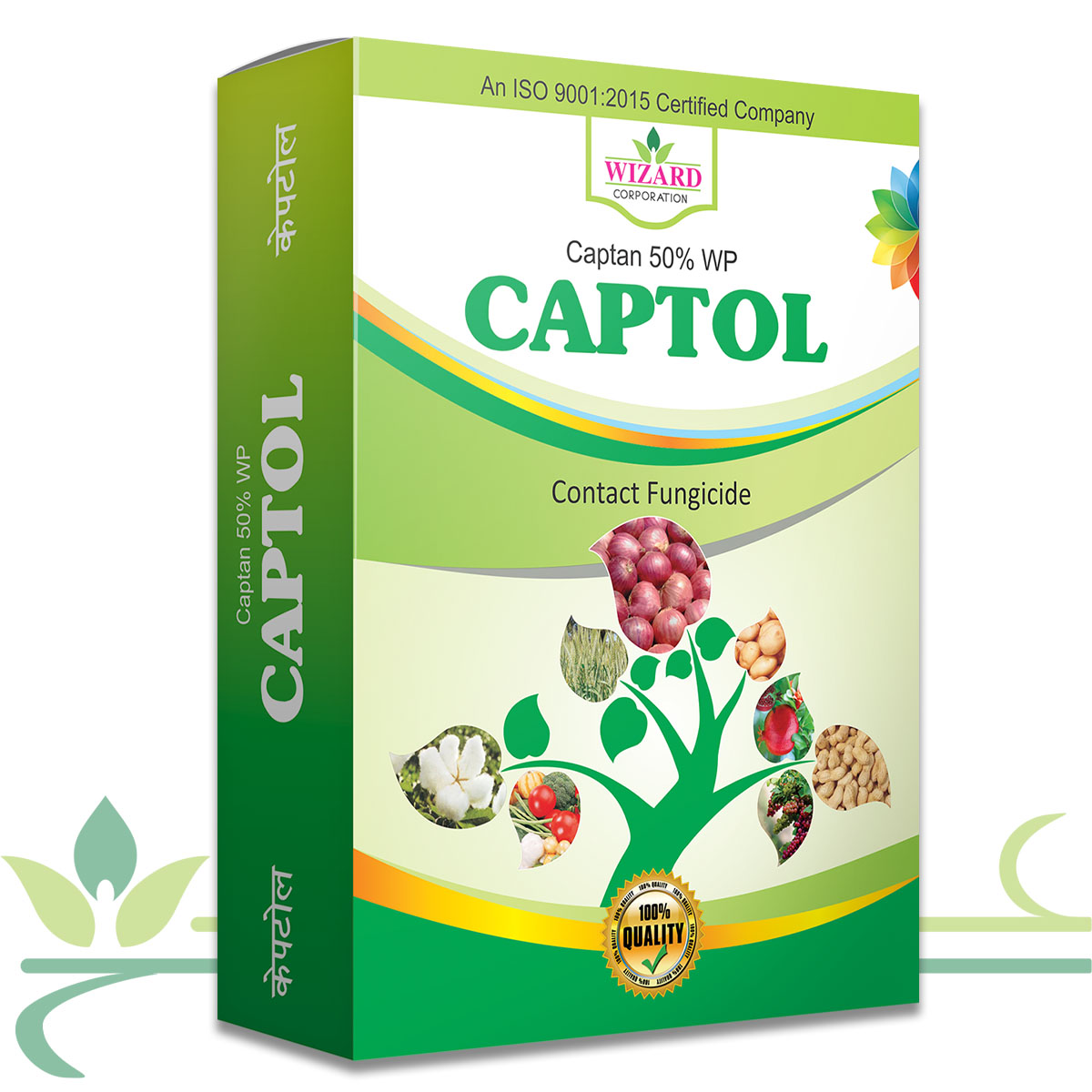 Captol Bringing Growth Together