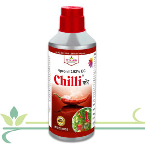 Chillikor