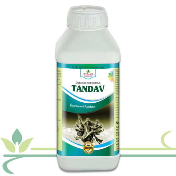 Tandav