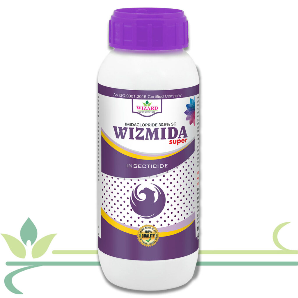 Wizmida Super Bringing Growth Together wizmida-super-bringing-growth-together