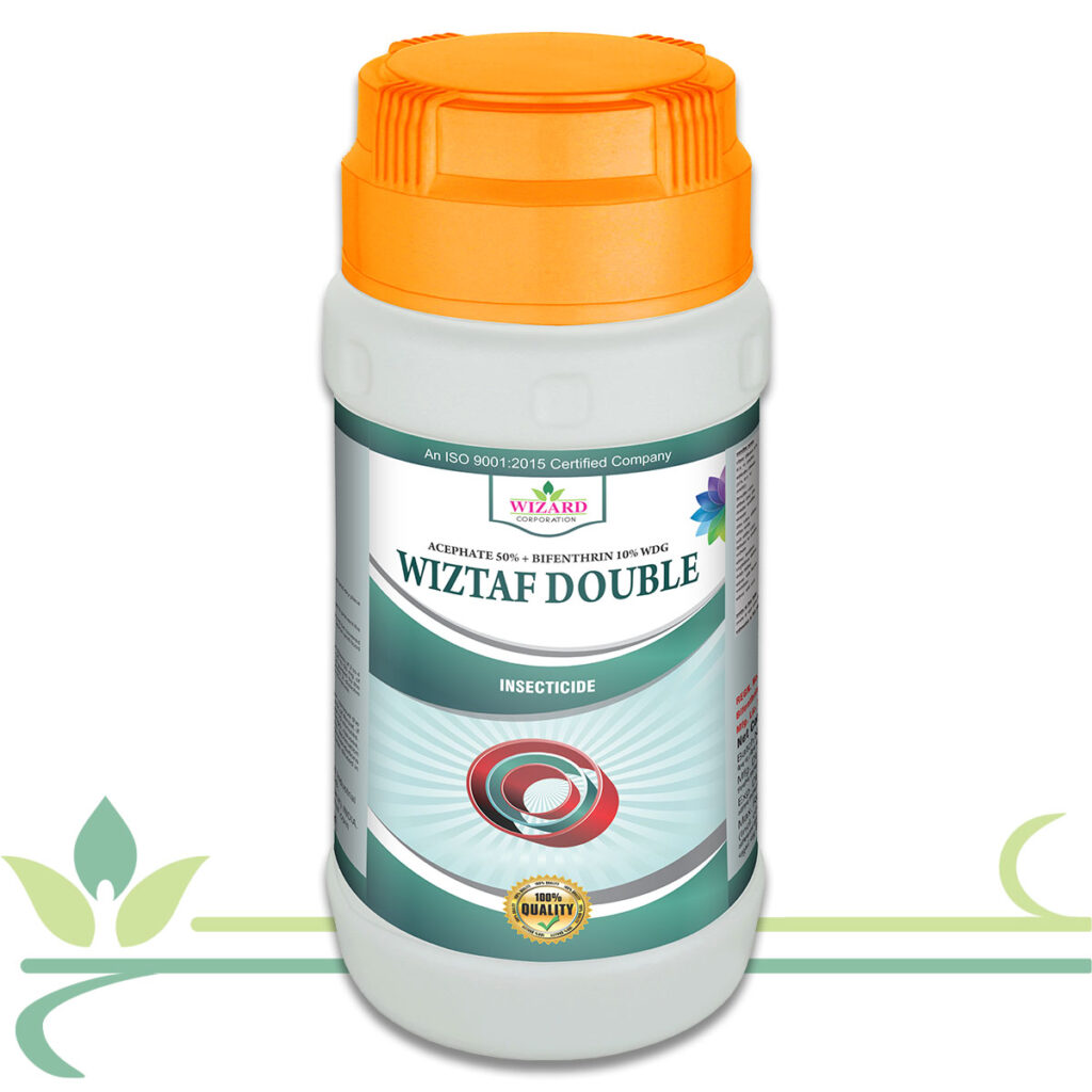 Wiztaf Double Bringing Growth Together wiztaf-double-bringing-growth-together